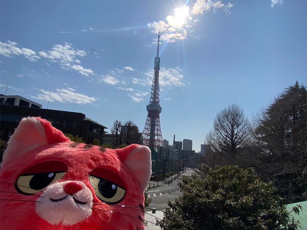 イメージ画像